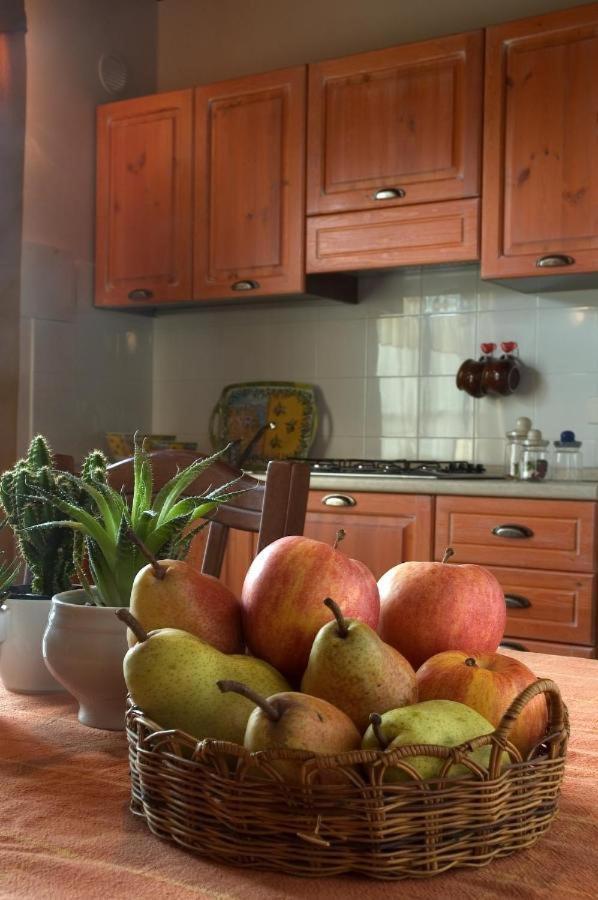 Agriturismo La Burraia Vicino A San Gimignano Gambassi Terme Zewnętrze zdjęcie